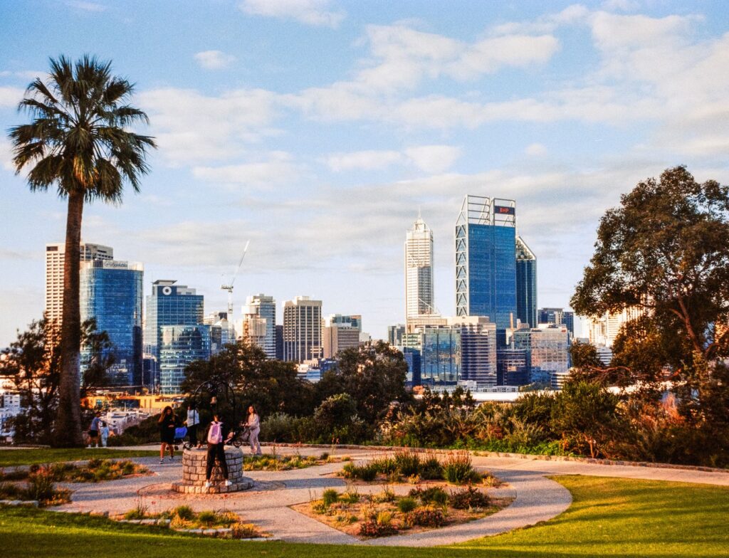 Perth skyline with modern skyscrapers framed by Kings Park palm trees and green spaces